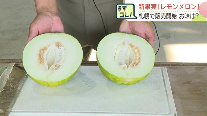 これはレモン？メロン？新品種「レモンメロン」酸味と甘さが夏にぴったりフルーツ…北海道富良野市の農家５軒3800玉限定栽培|TBS NEWS DIG