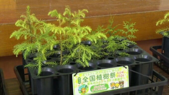 「まごころ込めて大切に育てるぞ!」全国植樹祭で使用する苗木が小学校に 愛媛・西予市|TBS NEWS DIG