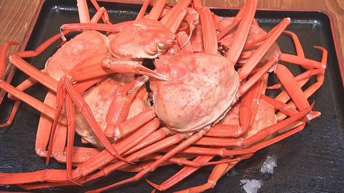 出れば出るほど赤字に…ほぼボランティア状態　ベニズワイガニ高騰で食べ放題などを値上げ「店がつぶれる、仕方ない」　|　BSSニュース | BSS山陰放送