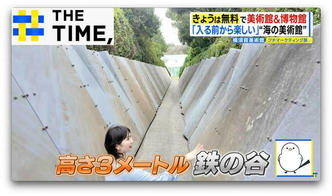 11月3日は“無料”で「ミュージアム」！全国180以上の美術館＆博物館が無料開放【THE TIME,】 |TBS NEWS DIG