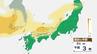【黄砂飛来】10月2日(金)、西日本の広い範囲に飛来のおそれ　シミュレーションでは近畿や山陰などで濃度高まる計算も　|　長崎のニュース | 天気 | NBC長崎放送