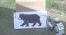 クマが市街地に出没したことを想定…長野市が銃を使って駆除する「緊急銃猟」の手順を確認する初めての訓練「難しい判断を迫られることになる…」　|　SBC NEWS | 長野のニュース | SBC信越放送