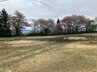 車止めを避けるようにして強引に侵入か　公園内でドリフト？ そこには深いタイヤ痕が...　警察に被害届けを提出（山形・山辺町）　　　　　　　|　山形のニュース│TUYテレビユー山形
