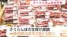 カートいっぱいの“赤い宝石”　全国からさくらんぼを求めて山形へ！朝6時から並ぶ人も!?　今だけ楽しめる贅沢な味わい方も必見！（山形・東根市）　|　山形のニュース│TUYテレビユー山形