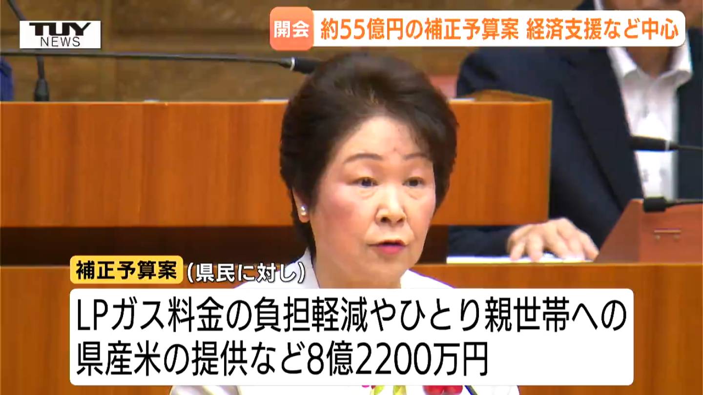 補正予算案およそ55億円 物価高騰を受けた経済支援が中心 藪の刈払い