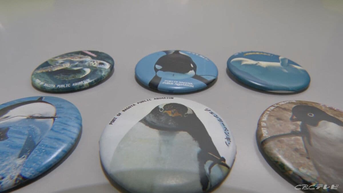 名古屋港水族館ガチャde寄付ペンギンの羽根 なつい