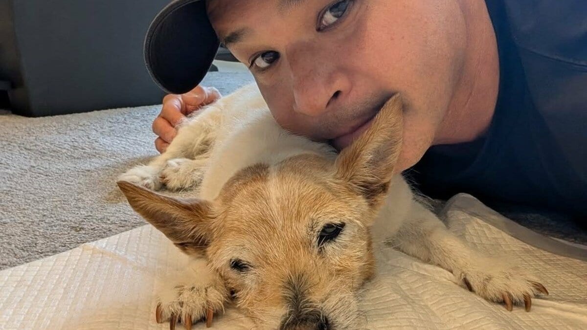 いぬ】照英さん 19歳10ヶ月の愛犬テン「まだまだ食べてるよ〜」老犬の
