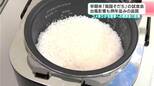 早期米「南国そだち」の試食会 台風影響も例年並みの品質 コメ余りが生産者への概算金に影響|TBS NEWS DIG