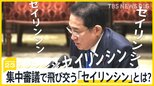 「政治とカネ」集中審議で飛び交う「セイリンシン」とは？ 過去には議員辞職に至った人も【news23】|TBS NEWS DIG