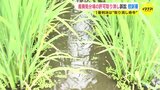 「江戸時代から続く田んぼをやめなければ」「このままでは集落は崩壊」　水源地の産廃処分場設置許可を巡る行政訴訟　控訴審始まる　広島　|　RCC NEWS | 広島ニュース | RCC中国放送