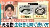 今年の「梅雨入り」は平年並み? 生乾きを防ぐには「洗い方」も重要、洗濯物のどこに風を当てると早く乾く?【Nスタ解説】|TBS NEWS DIG