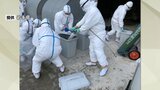 殺処分は約12万羽のうち35%で終了 高病原性鳥インフルエンザ疑いある盛岡市の養鶏場 建設団体の協力で埋却作業も 岩手 |TBS NEWS DIG