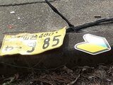 南陽市18歳運転手死亡事故 軽トラックは「わ」ナンバーで若葉マーク…業務で使用中にトラックと正面衝突か 春は新米ドライバーが増えるため注意を(山形・南陽市) | 山形のニュース│TUYテレビユー山形