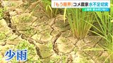 「もう限界に…」“記録的少雨”でため池は水位低下 用水路は乾き…出穂期迎えるコメ作りに影響も「稲に我慢してもらっています」 新潟・上越市|TBS NEWS DIG
