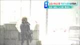 「多いところでは40センチ」上越と中越の山沿いでは注意報級の大雪も スキー場はまとまった雪に期待|TBS NEWS DIG