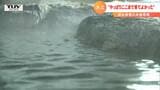「ここまで来てよかった」2度の大雨被害乗り越え再スタートの旅館で秋のおもてなし | 山形のニュース│TUYテレビユー山形