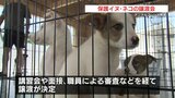 毎月第3日曜日にも保護イヌ・ネコ譲渡会　アニマルフレンズ熊本　|　熊本のニュース｜RKK NEWS｜RKK熊本放送