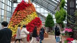 ど派手なピラミッド⁈その正体は… 1000鉢使い高さ5メートル クリスマス彩る観葉植物ポインセチアタワーが人気集める 秋田・潟上市 |TBS NEWS DIG
