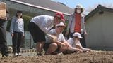 地域に伝わる藍染め復活目指して…小学生が「タデアイ」種まき|TBS NEWS DIG
