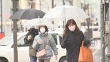 久しぶりに山梨県内で雨や雪　甲府では40日ぶりの雨|TBS NEWS DIG