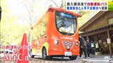 全国屈指の紅葉スポット「奥入瀬渓流」で自動運転の実証実験 8人乗りの自動運転モビリティ「MiCa」とは? 『環境保全』と『人手不足』に光明?|TBS NEWS DIG