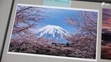 自然豊かな魅力を伝える 富士山フォトコンテスト審査会 | 静岡のニュース | SBSNEWS | 静岡放送