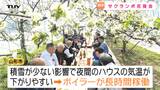 「かんぱい！」一足早い春の訪れ　山形市の園地でサクランボの花見　例年とは異なる "ある状況" に不安も...（山形）　|　山形のニュース│TUYテレビユー山形