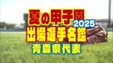 【夏の甲子園2025】出場選手名鑑 青森県代表「弘前学院聖愛」 選手一覧【第107回 全国高等学校野球選手権大会】 | 青森のニュース│ATV NEWS│青森テレビ