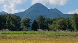 「滑落して意識がないようだ」 南昌山でキノコ採りの男性が顔から出血 防災ヘリで救助も容体不明|TBS NEWS DIG