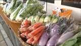 化学肥料や農薬”不使用”のビタミン大根やニンジンなどずらり 生産者が有機野菜を対面販売 「有機農業の日」前にイベント 仙台　|　宮城のニュース│tbc NEWS│tbc東北放送