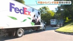 ジャイアントパンダ2頭「平平」「福双」が米アトランタに到着 中国から10年間貸与予定「お互いにとって良いこと」| TBS CROSS DIG with Bloomberg