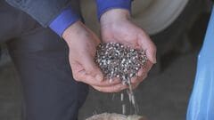 肥料価格が値上がり　中東情勢の緊迫化で最大14.5％| TBS CROSS DIG with Bloomberg