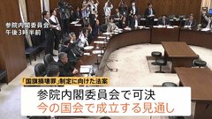 【速報】国旗損壊罪法案が参・内閣委で可決 国民民主党と参政党も賛成| TBS CROSS DIG with Bloomberg