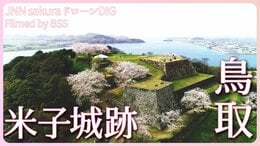 大パノラマと桜 鳥取県・米子城跡【JNN sakuraドローンDIG 2023】|TBS NEWS DIG