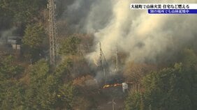 大槌町小鎚でのり面が燃える火事　住宅を含む建物5棟焼ける　近くの山林にも燃え広がる　県は災害特別警戒本部設置　岩手|TBS NEWS DIG