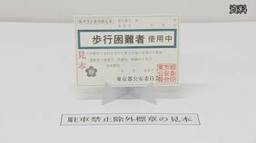 【速報】元時津風親方（51）を逮捕　偽造された「駐車禁止除外指定車標章」で違法駐車疑い　警視庁|TBS NEWS DIG