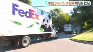 ジャイアントパンダ2頭「平平」「福双」が米アトランタに到着 中国から10年間貸与予定「お互いにとって良いこと」| TBS CROSS DIG with Bloomberg