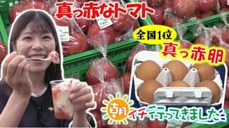 全国1位獲得!『真っ赤卵』とは?ブランドトマトのソースでいただくジェラート 蓬田村で見つけた“おいしい青森の旬”【わっち!!朝イチ行ってきました】 | 青森のニュース│ATV NEWS│青森テレビ
