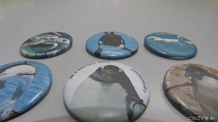 ペンギンたちのベストショットの「限定缶バッジ」が返礼品