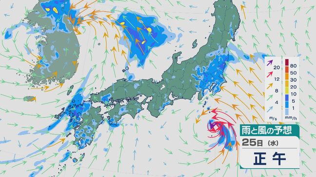 黄海付近の低気圧は24日(火)から25日(水)にかけて“動きがゆっくり” 西日本では雷をともない大雨のところも 九州北部では24時間予想降水量が150ミリに 雨と風シミュレーション|TBS NEWS DIG