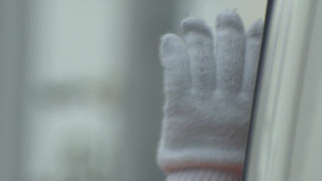 衆議院選挙最後の日曜日 厳しい寒さの中候補者が支持を訴える 東海3県25小選挙区で102人が立候補|TBS NEWS DIG