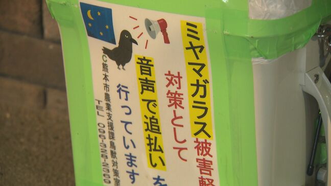 カラスのフン被害「電柱や木の下」は避けて通って! 冬の熊本城下町に1万羽が飛来・・・市役所6年目の防衛作戦は“先手必勝”|TBS NEWS DIG