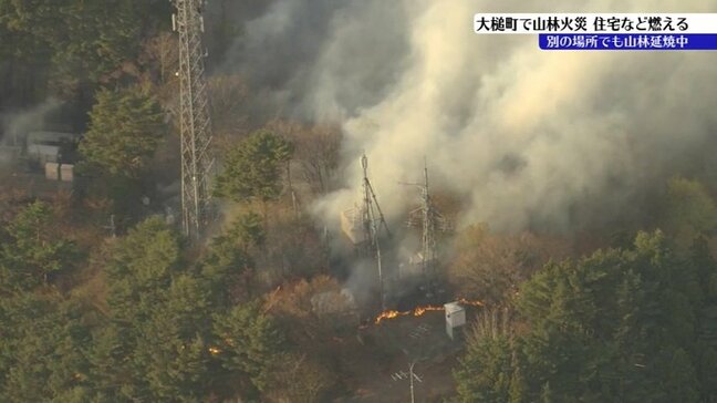 大槌町小鎚でのり面が燃える火事　住宅を含む建物5棟焼ける　近くの山林にも燃え広がり、県は災害特別警戒本部設置　岩手|TBS NEWS DIG