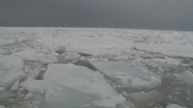 北海道 網走市のおーろらで異例の"春の流氷観光"|TBS NEWS DIG