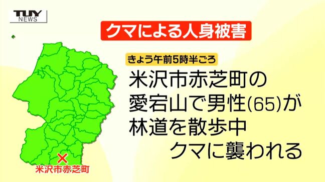 足首をかまれ...男性(65)がクマに襲われケガ 親子とみられる2頭に遭遇(山形・米沢市)|TBS NEWS DIG