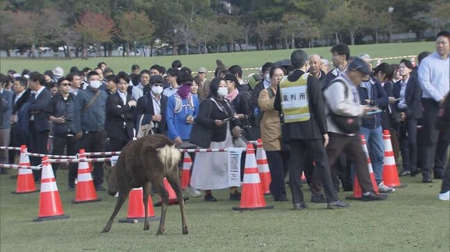 【速報】安倍元総理銃撃事件初公判 傍聴券の倍率は「22.7倍」 727人が奈良公園に列|TBS NEWS DIG