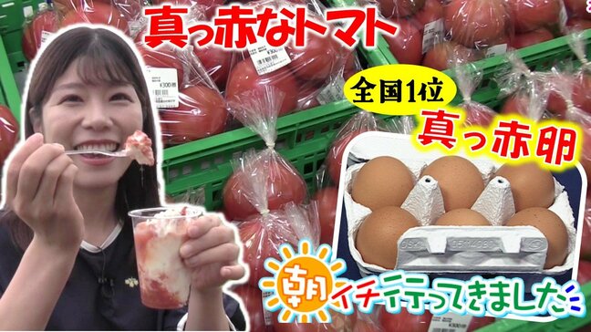全国1位獲得!『真っ赤卵』 ブランドトマトのソースでいただくジェラート 蓬田村で見つけた“おいしい青森の旬”【わっち!!朝イチ行ってきました】|TBS NEWS DIG