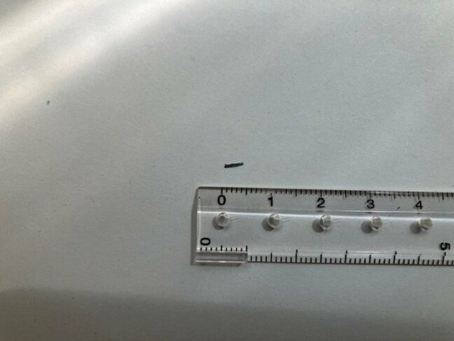 小学校の給食ごはんに金属片か…異物混入　提供とりやめに　山口・防府|TBS NEWS DIG