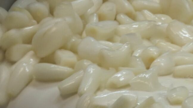 シャキシャキ「ふくべ砂丘らっきょう」初出荷　猛暑で植え付け、雪で初出荷1週間遅れ|TBS NEWS DIG