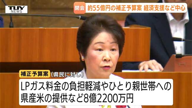 補正予算案およそ55億円　物価高騰を受けた経済支援が中心　藪の刈払いなどクマ対策補助の増額も（山形）|TBS NEWS DIG